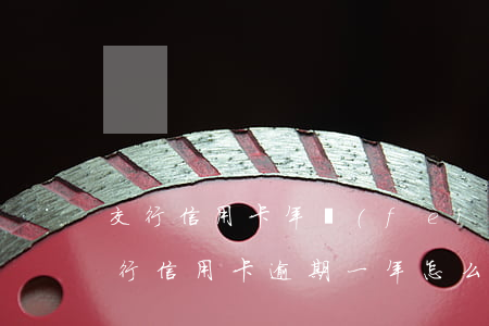 交行信用卡年費(fèi)逾期十年(交通銀行信用卡逾期一年怎么還不會(huì)被起訴)