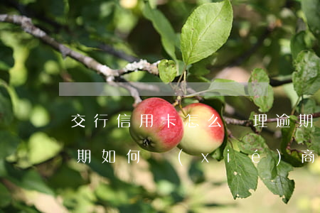 交行信用卡怎么処理逾期 交通銀行信用卡逾期如何協(xié)商