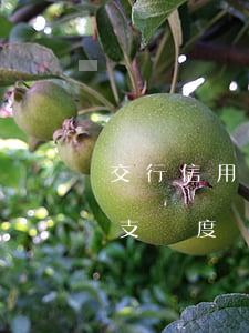交行信用卡怎么透支額度(交行信用卡怎么透支額度)