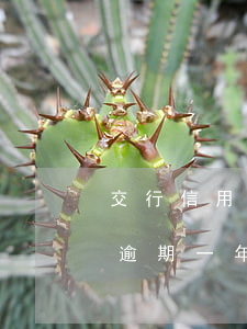 交行信用卡欠1萬逾期半年了(欠2萬信用卡逾期一年)
