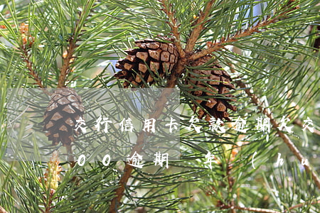 交行信用卡欠款逾期(欠交通銀行信用卡4000逾期兩年會(huì)被起訴嗎)