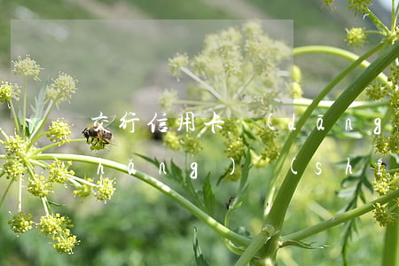 交行信用卡當(dāng)前逾期多長(zhǎng)時(shí)間更新(交行信用卡當(dāng)前逾期多長(zhǎng)時(shí)間更新)