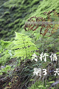 交行信用卡能逾期3天吗(交通银行信用卡逾期3天会有不良记录吗)