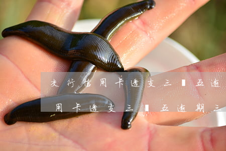 交行信用卡透支三萬五逾期三個月-交行信用卡透支三萬五逾期三個月會怎么樣