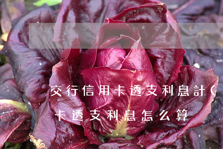 交行信用卡透支利息計(jì)算(銀行信用卡透支利息怎么算)