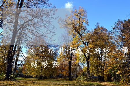 交行信用卡透支转账上限(交通银行借记卡转账限额)
