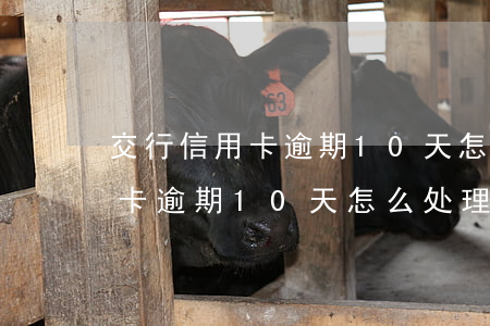 交行信用卡逾期10天怎么处理-交行信用卡逾期10天怎么处理的