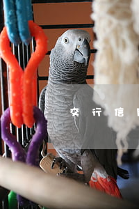 交行信用卡逾期1個多月