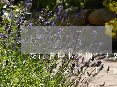 交行信用卡逾期1天就產(chǎn)生違約金-交行信用卡逾期1天就產(chǎn)生違約金,不到還款日就老打電話