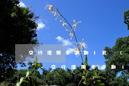 交行信用卡逾期1天會(huì)上傳征信嗎-交行信用卡逾期1天會(huì)上傳征信嗎怎么辦