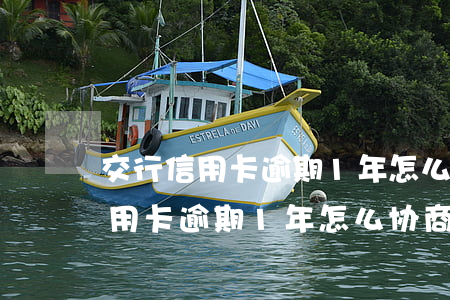 交行信用卡逾期1年怎么协商还款-交行信用卡逾期1年怎么协商还款呢