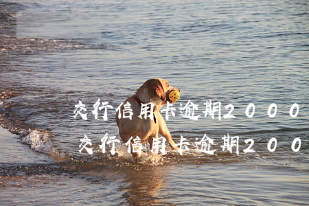 交行信用卡逾期2000會(huì)怎樣(交行信用卡逾期2000會(huì)怎樣辦)