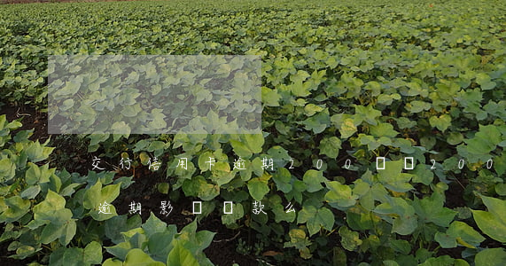 交行信用卡逾期200塊錢(200塊信用卡逾期影響貸款么)