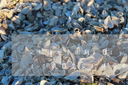 交行信用卡逾期2個(gè)月會(huì)告我嗎(欠交行信用卡3萬(wàn)逾期三個(gè)月讓我一次還清要不就起訴我)