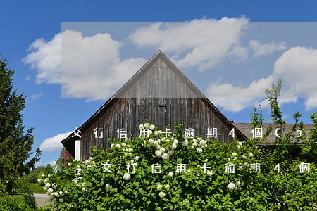 交行信用卡逾期4個(gè)月11000-交行信用卡逾期4個(gè)月起訴我