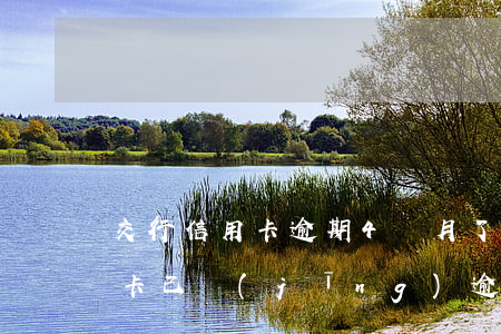 交行信用卡逾期4個月了(我的交通銀行信用卡已經(jīng)逾期3個月以上)