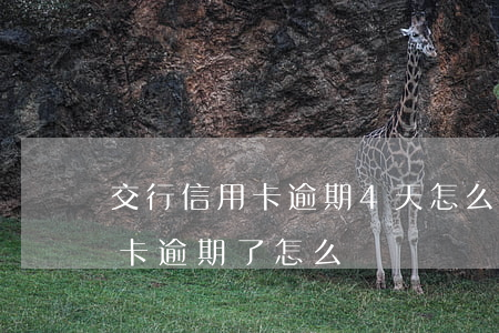交行信用卡逾期4天怎么辦(交通銀行的信用卡逾期了怎么辦)