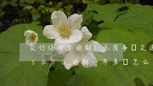 交行信用卡逾期5天有事嗎(交通銀行信用卡5000逾期一年多會怎么樣)