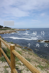 交行信用卡逾期6天怎么办(交通银行卡信用卡两次逾期4天)