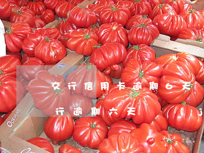 交行信用卡逾期6天還款上征信么-交通銀行逾期六天還進(jìn)去還能刷出來嗎