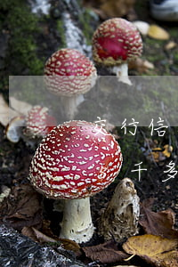 交行信用卡逾期7000元(交通银行信用卡5千多逾期三个月)