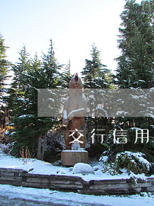 交行信用卡逾期7个月(信用卡6个月逾期)