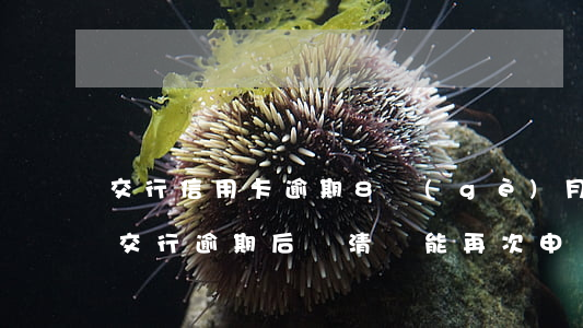 交行信用卡逾期8個(gè)月了還能用嗎(交行逾期后還清還能再次申請(qǐng)信用卡嗎)