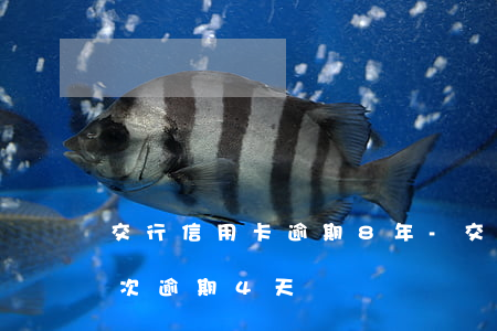 交行信用卡逾期8年-交通银行卡信用卡两次逾期4天