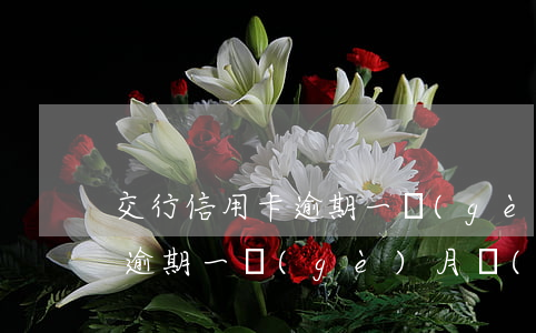 交行信用卡逾期一個(gè)月(交行信用卡逾期一個(gè)月會(huì)被停用嗎?)