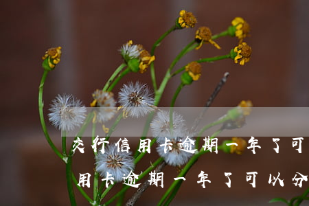 交行信用卡逾期一年了可以分期嗎-交行信用卡逾期一年了可以分期嗎還款嗎