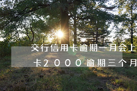 交行信用卡逾期一月会上门吗(交通银行信用卡2000逾期三个月会被起诉吗)