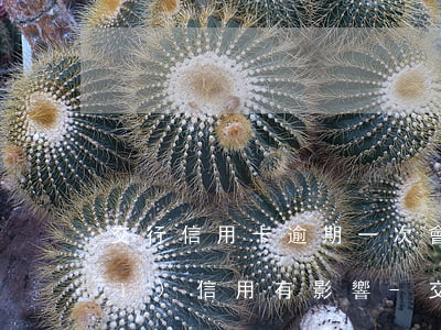 交行信用卡逾期一次會(huì)對(duì)信用有影響-交行信用卡逾期一次會(huì)對(duì)信用有影響嘛