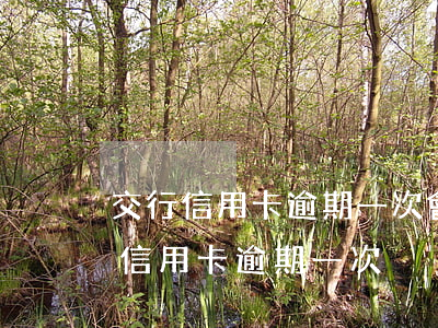 交行信用卡逾期一次會影響貸款買房嗎（交行信用卡逾期一次）