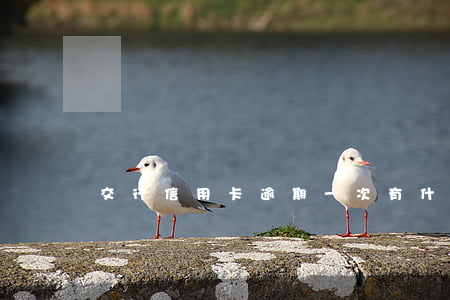 交行信用卡逾期一次有什么影響