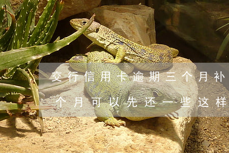 交行信用卡逾期三个月补救(交通银行逾期3个月可以先还一些这样吗?)