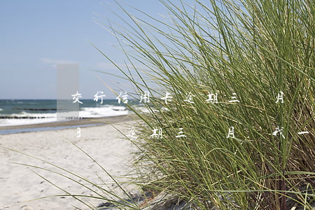 交行信用卡逾期三個月還完了(欠交行信用卡3萬逾期三個月讓我一次還清要不就起訴我)