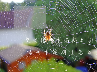 交行信用卡逾期上了征信怎么辦(交通銀行的信用卡逾期了怎么辦)