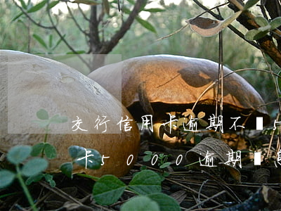 交行信用卡逾期不滿5000(交通銀行信用卡5000逾期罰息是多少?)