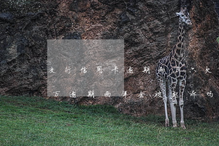 交行信用卡逾期两万六(欠交通银行信用卡两万逾期两年会被起诉吗)