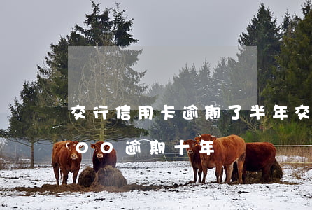 交行信用卡逾期了半年(交通銀行信用卡2000逾期十年)