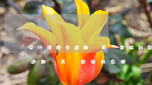 交行信用卡逾期兩天還款收利息(交行信用卡逾期兩天還款收利息嘛)