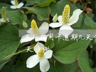交行信用卡逾期几天催缴(交行信用卡逾期几天催缴)