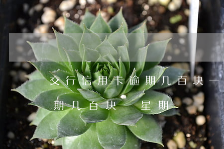 交行信用卡逾期几百块一星期(交行信用卡逾期几百块一星期)