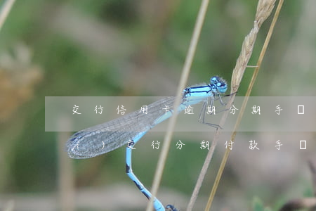交行信用卡逾期分期手續(xù)費(fèi)(交行分期付款手續(xù)費(fèi))