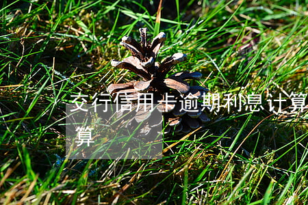交行信用卡逾期利息计算(信用卡逾期扣费计算)