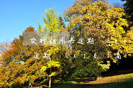 交行信用卡逾期協(xié)商(交行信用卡逾期協(xié)商讓寫申請并說明每月還款金額)