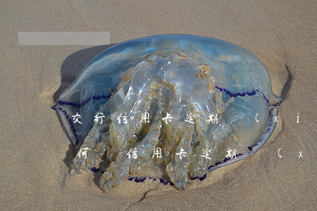 交行信用卡逾期協(xié)商情況說明(如何寫信用卡逾期協(xié)商還本金情況說明書)