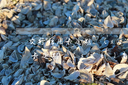 交行信用卡逾期協(xié)商申請書(信用卡逾期協(xié)商處理方法)