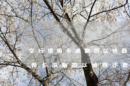 交行信用卡逾期可以协商还款吗-四大行信用卡逾期可以协商还款吗