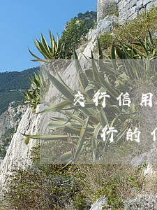 交行信用卡逾期可以協(xié)商嗎(交通銀行的信用卡逾期了可以協(xié)商還本金嗎)